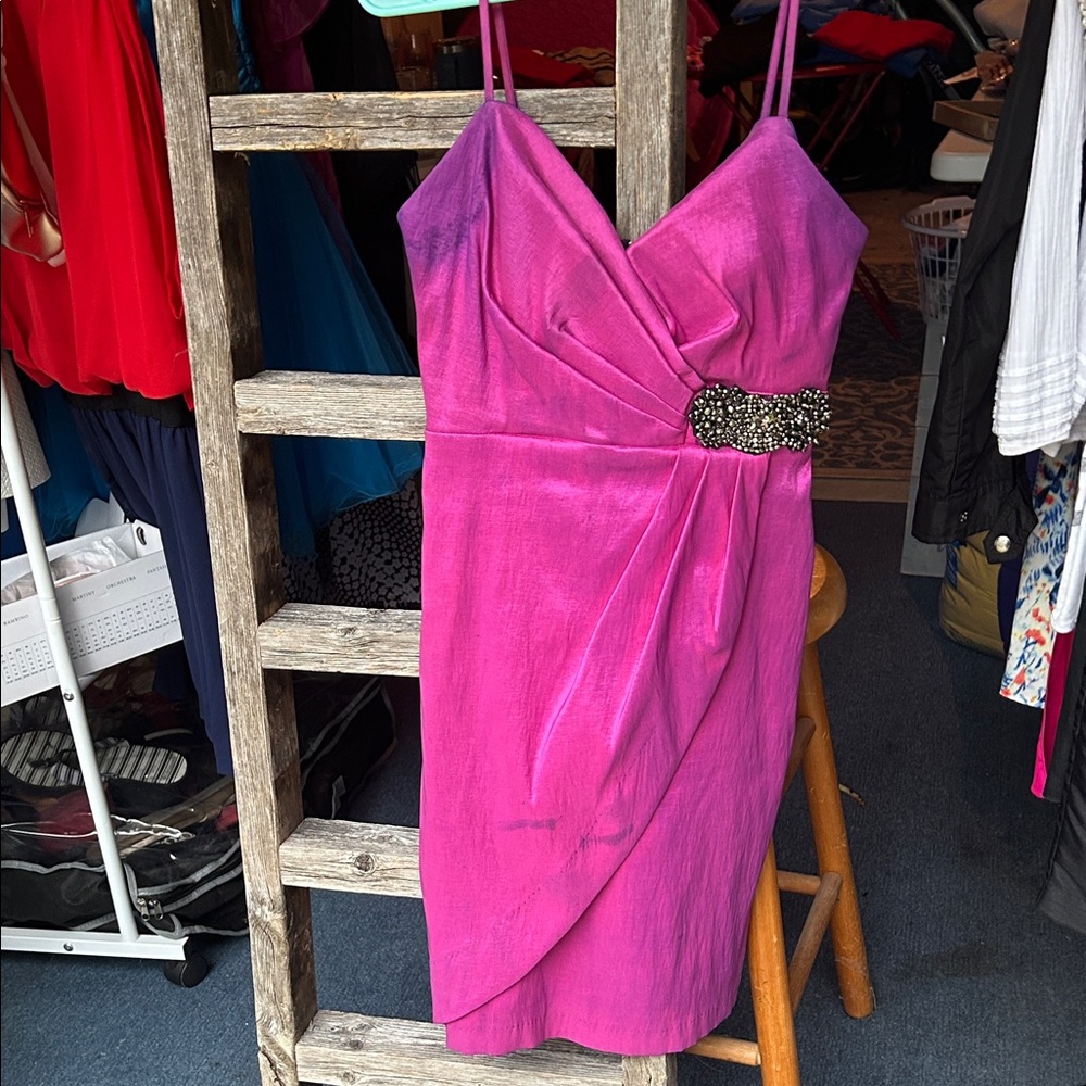 Pink/ Purple Dress